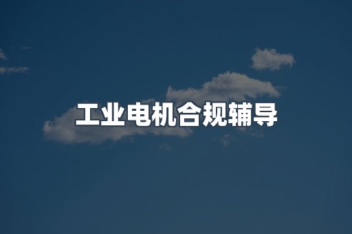 工业电机合规辅导