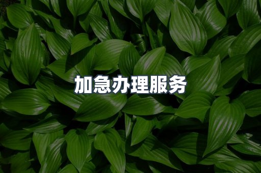 加急办理服务